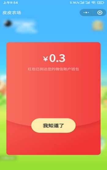 皮皮农场红包版 截图2