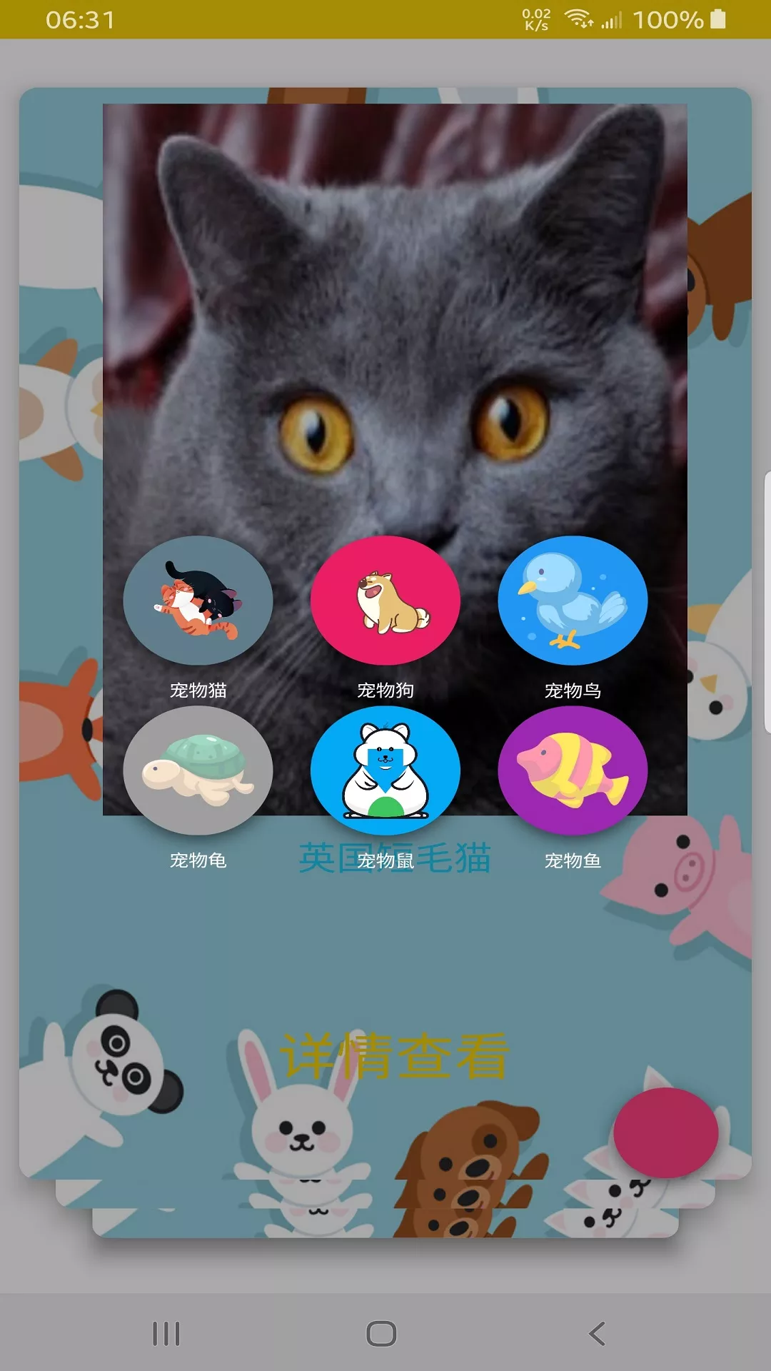 博猫app 截图3