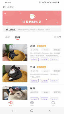 小猫先生 截图3