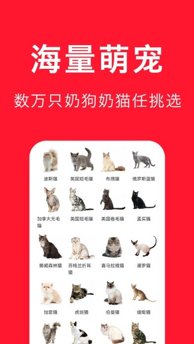 宠物宝app 截图3