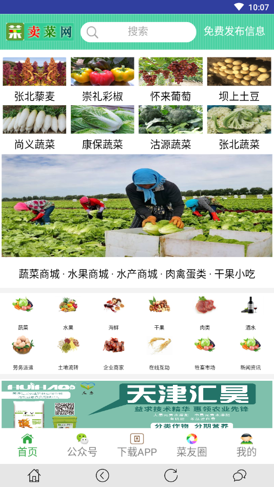 时时菜  截图2