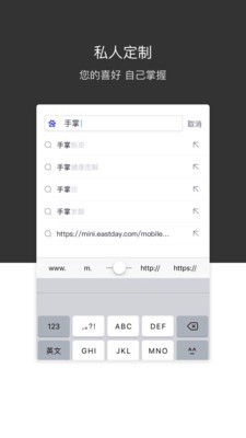 绿叶浏览器 截图3