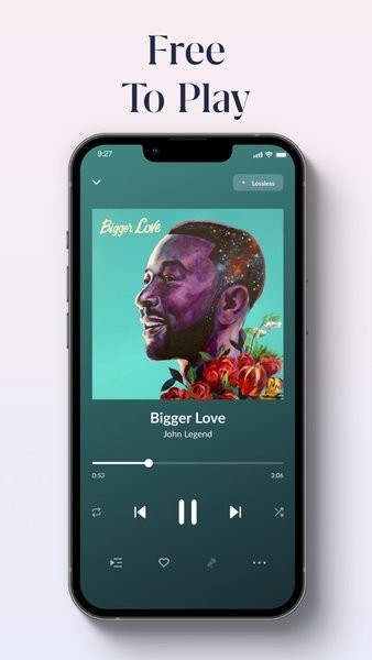 roon arc apk 截图2