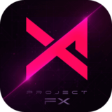 Project FX版