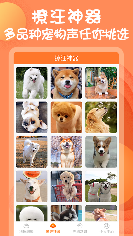 狗与翻译器app 截图4