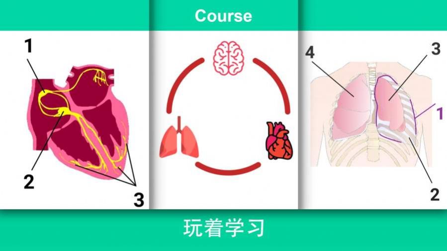 现实医疗模拟器 截图2