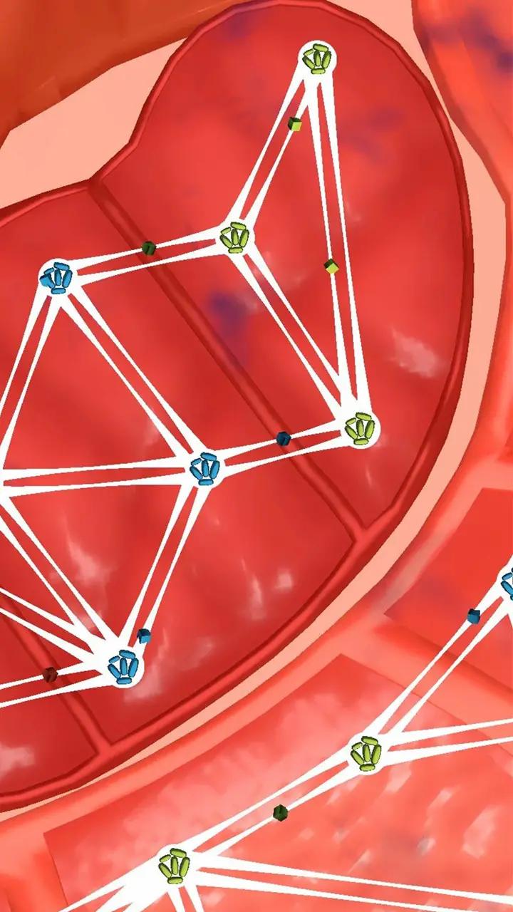 人体细胞连接 截图1
