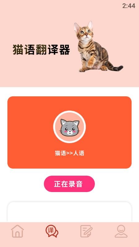 摸摸小猫 截图1