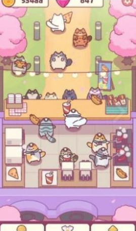 猫咪小吃店 1