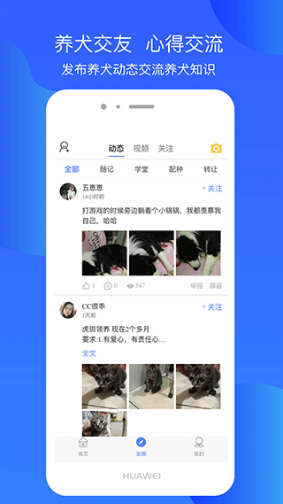 犬卫士 截图2