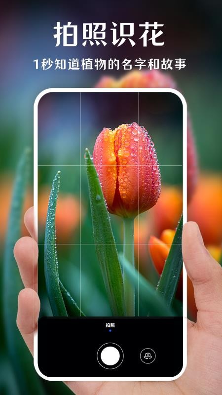 一键拍照识花 截图4