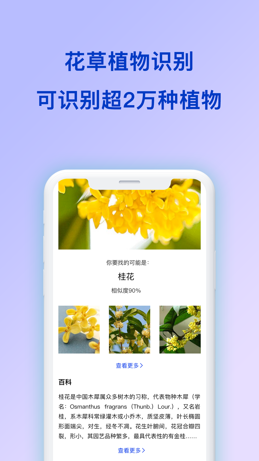 扫描识图app 截图3