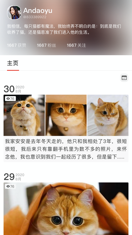 宠年年app下载 截图2