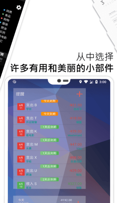 bluecoins记账 截图1