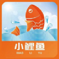 小鲤鱼礼品卡 1.0.6