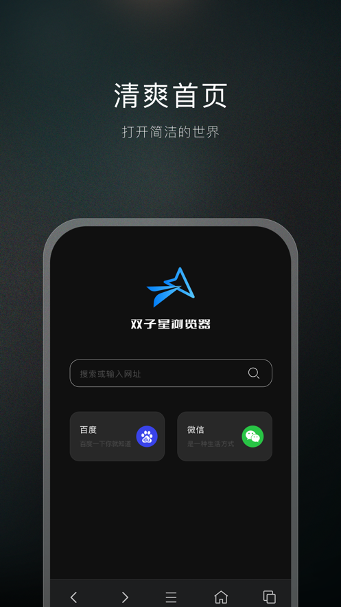 双子星浏览器官网 截图2