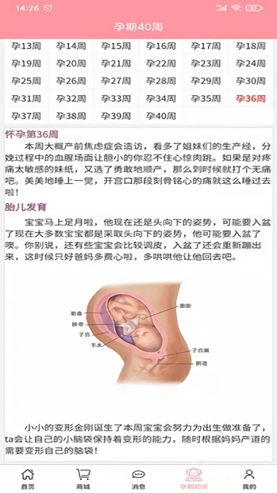 孕婴安孕妇端 截图3