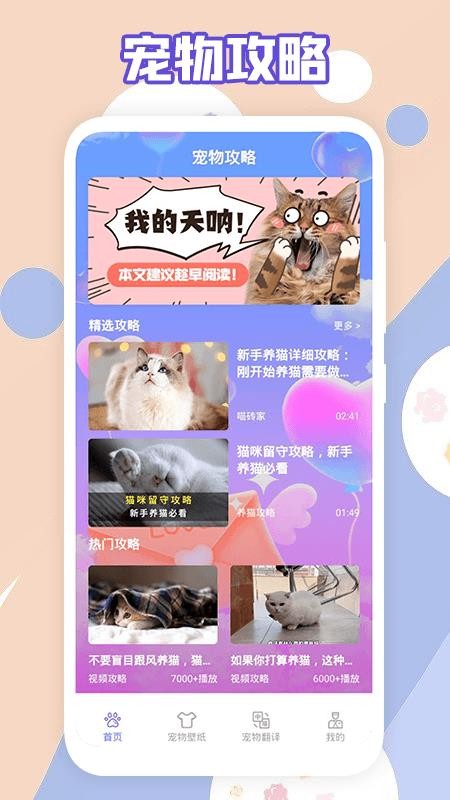 萌猫乐园最新版 1.1 截图3