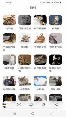 小猫先生 截图2