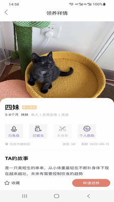 小猫先生 截图4