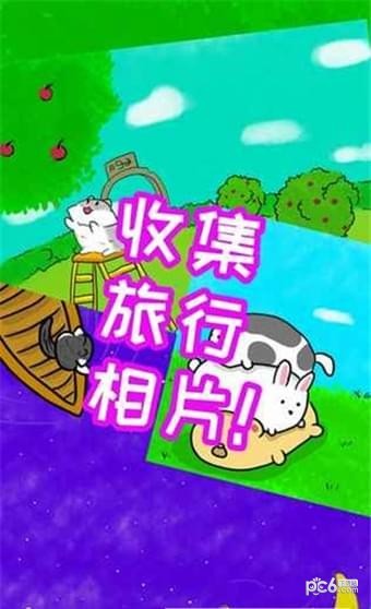 小猫钓鱼