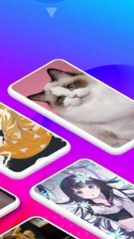 Biu主题壁纸app 截图2