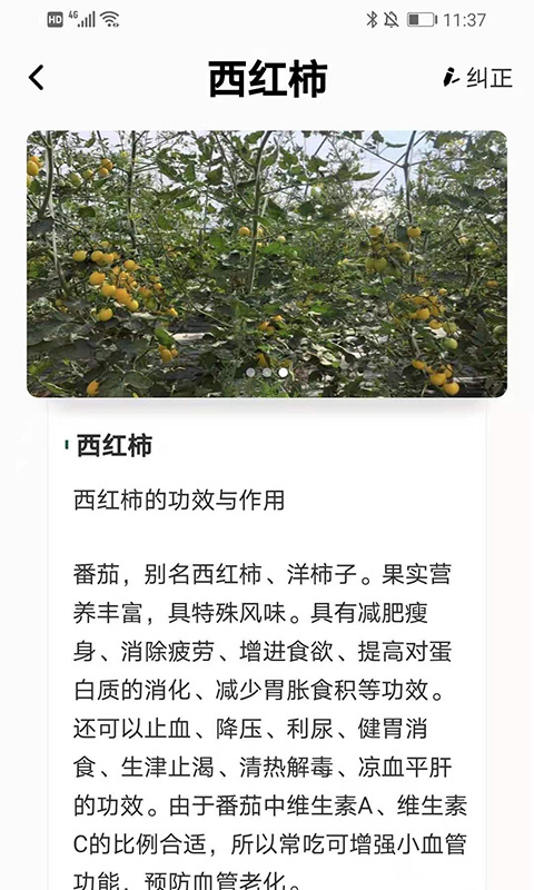 植物科普百科 截图3