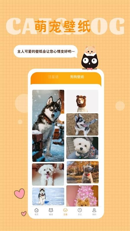 猫语狗语转换器 截图4