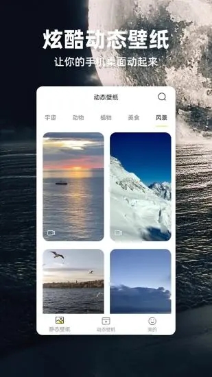 苹果壁纸 截图3