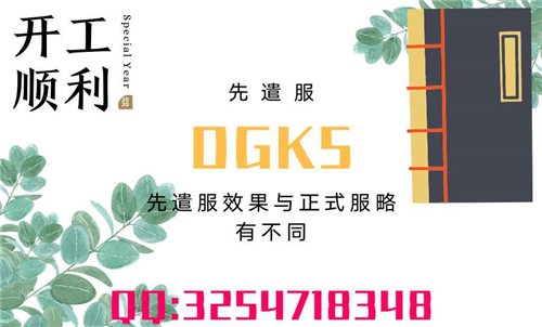 DGK5自由模式 截图3