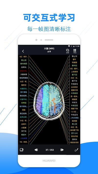 影像解剖图谱 截图5