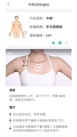 经络穴位图解app 截图1