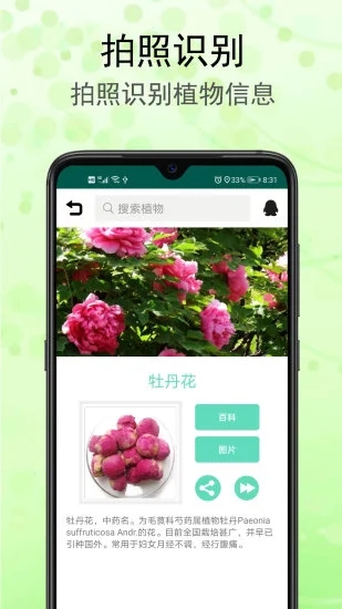 识花草app 截图1