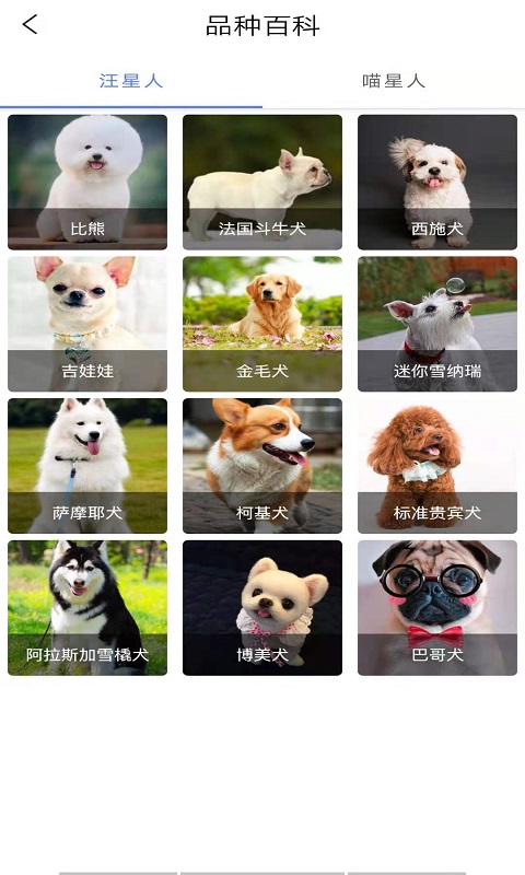 优宠快报app 截图4