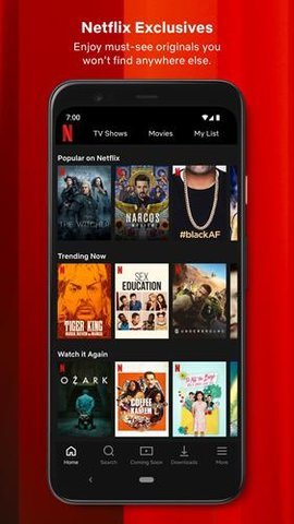 奈飞netflix 截图4