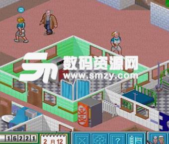 theme hospital emulator mac